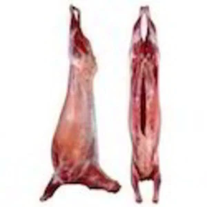 Fresh Chilled Sheep Meat And Boneless Beef