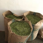 Fresh Green Cardamom