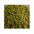 Import Fresh Mung Beans with HACCP Certificate - Dried Mung Beans Export to EU, USA, Japan, UAE, etc - Canned Vigna Beans from Vietnam