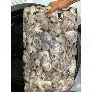 Frozen baby octopus wholesale for Korea market