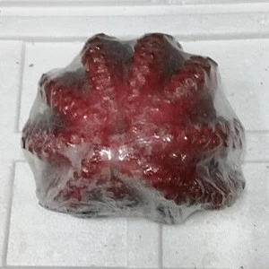 Frozen Cooked Octopus in Flower Shape