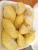 Import Frozen Durian Vietnam tropical fruit from Vietnam