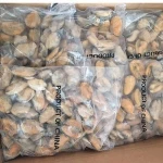 Frozen Mussels  Clam Oyster Blue Mussel Scallop Shellfish