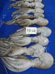 Frozen Octopus long leg