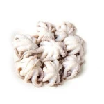 frozen seafood baby/small octopus