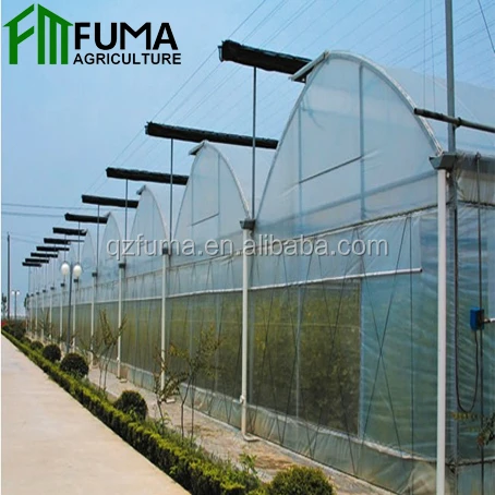 FUMA The Cheapest Hot Sale Agricultural/Commercial Plastic Greenhouse