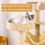Import Funny Comfortable Cat Climbing Frame Solid Wood Cat Climbing Tree Luxury Cat Tower Large Wood from China