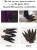 Import Game LOL Cosplay Rakan and Xayah Shoes Props Cosplay Costume Accessories Feather Daggers Wig for Women Men Halloween Decoration from China