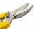 Import garden pruning shears garden scissor garden tools and scissors from China