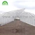 Import Gothic freestanding Greenhouses Tropical Green houses agricultural greenhouses from China