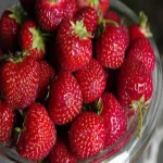 Grade A Fresh Grapes Fruits For Sale