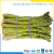 Import green fresh Asparagus Prices,frozen Asparagus Prices for sale from China