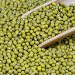 Green Mung Beans , Green Gram Moong Dal and Vigna Beans