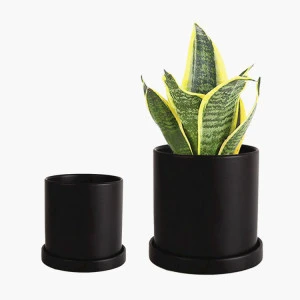 Greenaholics Mini Succulent Plant Pots with Tray, Round Cylinder Black Pots Ceramic Flower Pots/