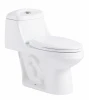 GX1037 High Quality Modern Sanitary Ceramic Ware Bathroom Set Bowl Chinese WC One Piece s trap 300mm Toilet With CUPC