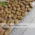 Import Health On Sale Chinese Qinghai Broad Beans/Fava Beans from China