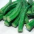 Import Heilongjiang China New Corp Bulk Supply Frozen Okra Cut Frozen Vegetables Frozen Okra from China