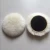 Import High quality 3m self-adhesive 100% sheep wool polishing pad for car from China