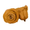 high quality A-grade preserved immortal flowers 2-3 cm forever rose hesds