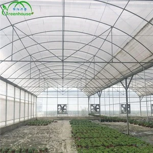 High Quality  Agricultural Plastic Greenhouse Film For Sale