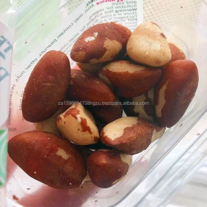 High Quality Brazil Nuts Top Grade Brazil nuts