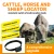 Import High Quality Camel Cows Animals Horses Tracking Device Cattle GPS Tracker from China