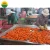 Import HIGH QUALITY CARROT FOR SALE from Vietnam
