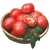 High quality for sale China red tomatoes fresh tomatoes