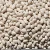 Import High Quality Japanese Type Dried White Kidney Bean from Canada