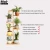 Import Holder Wood Plant Stand  Shelf Multi Tier Flower Display  Storage  Flower Rack from China