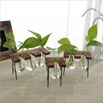 Home artificial desktop decoration tube/buld Glass planter Glass vase with metal stand/wood stand base