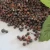 Import hong ye shi nan Natural Photinia Serrulata Seeds for planting from China