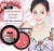 Import Hot fashion blush brush palette private label from China