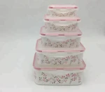 Hot product Bpa free high performance Set of 5 Pieces food storage container set