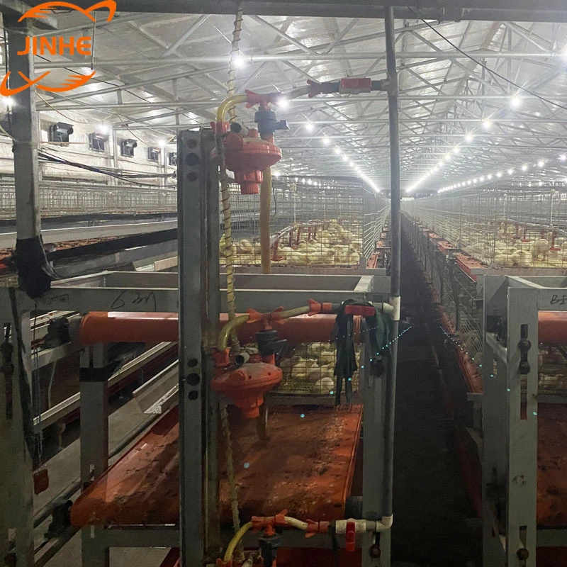 Hot sale fully automatic H types of broiler battery cage for Russia farm