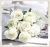Import Hot sale garden decoration wedding decoration silk flowers valentine gifts miss rose artificial plants from China