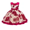 hot sale princess  baby clothing dress  new style baby girls summer flower party dress