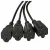 Import Hot sale With switch on/off 3 pin Power Extension Cable IEC C13 to C14 AC power cord 1 male to 4 female from China