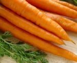Hot selling fresh carrots fresh vegetables black carrot seeds for sale