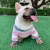 Import Hot Selling Luxury Pet Matching Cloth Stripe Sweatshirt With Embroidery Flower Cute Funny Pet Apparel Accessories Outwear Comfy from China