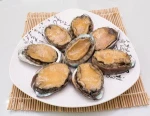 Hot selling seafood shellfish Abalone in Shell for sale
