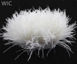 Import Feather 10-15cm Dyed White Ostrich Feather Trim Fringe Feather Trimming for Handbags, Garment
