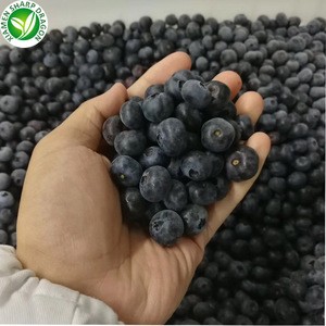 iqf organic frozen blueberry fresh fruit bulk frozen blueberries