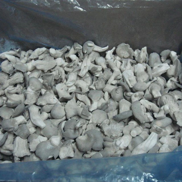 IQF Wholesale Bulk Vegetables Brand Oyster mushroom Style Storage Packing Factory Price