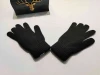 Japan Korea style new cashmere brushed knitted gloves nitrile lady jacquard touch screen gloves keep warm winter mittens