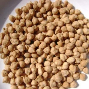 Kabuli Chickpea for sale