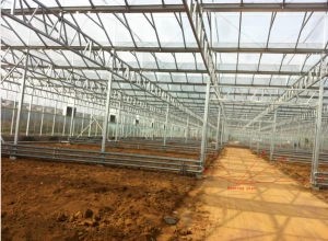 large size multi-span arch plastic film Greenhouse tomato greenhouse and strawberry greenhouse turnkey project