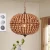 Import Lighting modern retro round bead pendant lamp outdoor cage pendant light wooden bead chandelier for high ceilings from China