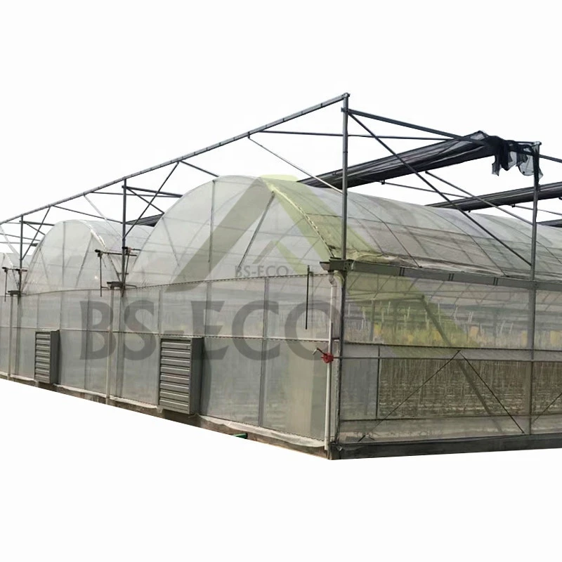 Low Cost Commercial Greenhouse With Vertical Hydroponic Grow Systems for Sale