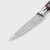 Import Luckytime DMS-LT07C9, 10cr15comov with 67 Layers Steel 3.5 Inch Paring Knife with G10 Handle from China